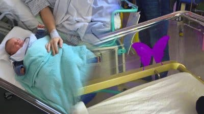Personne connaît l'affreuse signification du papillon violet sur les berceaux à la maternité, votre cœur va se briser