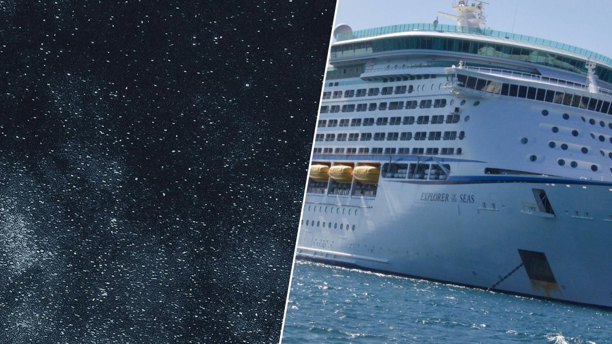 Croisière hors du commun : plongés dans l’obscurité, les voyageurs racontent