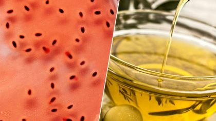 Huiles d’olive contaminées par des hydrocarbures : ce que vous devez savoir