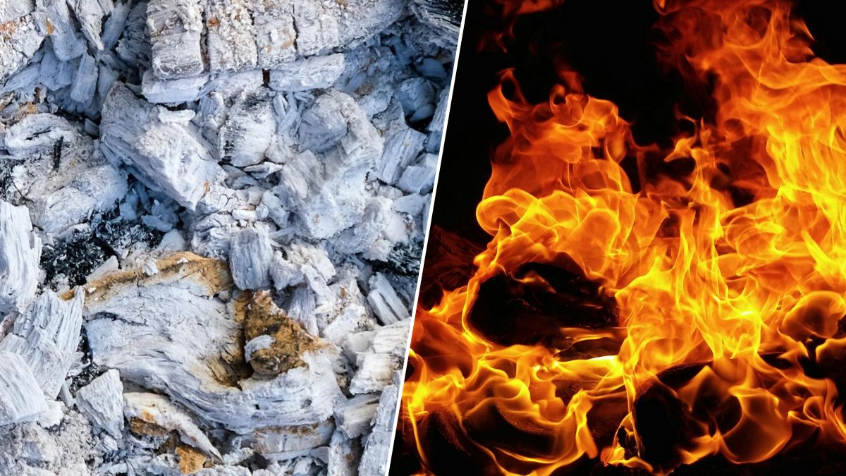 Crémation : ce qu’un expert funéraire révèle sur le corps