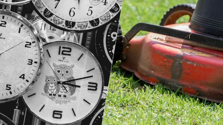 Tondre : les horaires à respecter pour éviter une amende au jardin