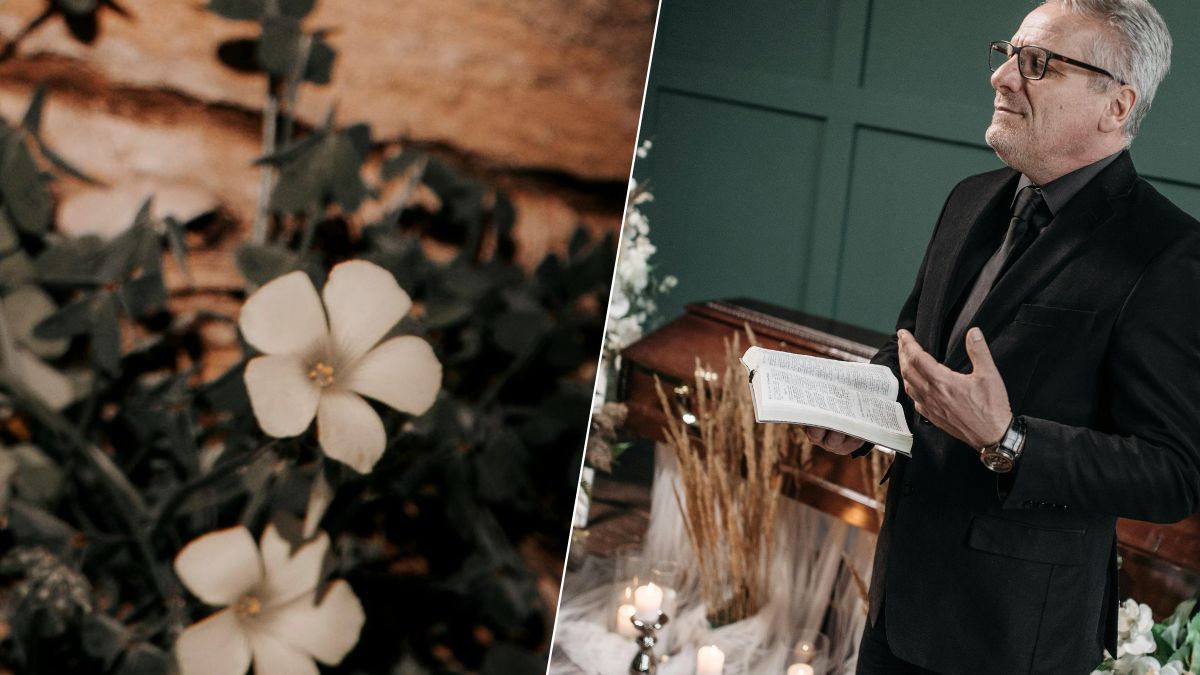 Distributeurs : ces 3 banques françaises vont les remplacer par un réseau partagé dès 2026