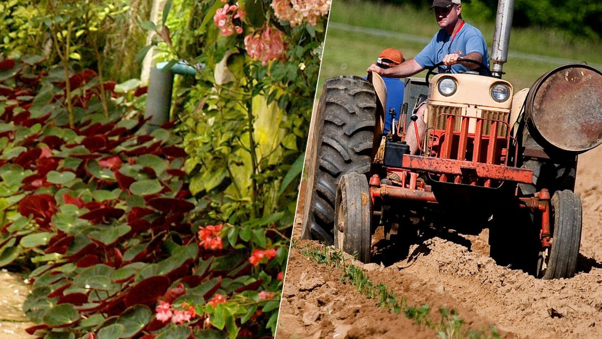 Retraite : combien touche-t-on vraiment en France quand on a été agriculteur toute sa vie ?