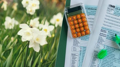 Déclaration de revenus : cette case méconnue peut réduire vos impôts grâce à votre jardin