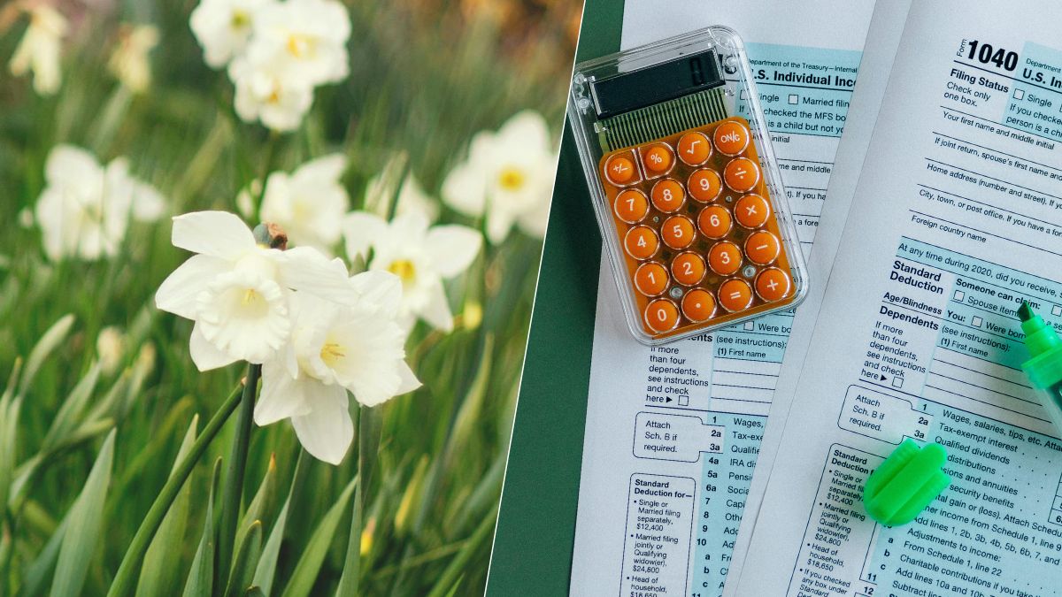 Déclaration de revenus : cette case méconnue peut réduire vos impôts grâce à votre jardin