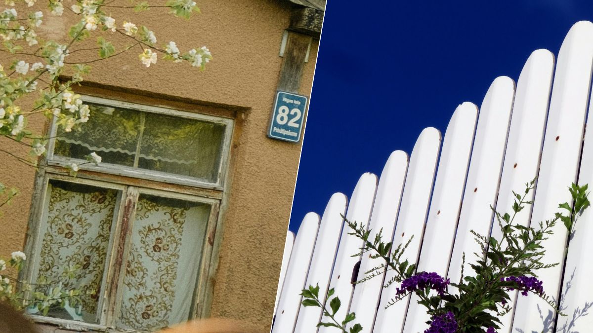 Clôture : ces règles ignorées peuvent vous contraindre à la démolition