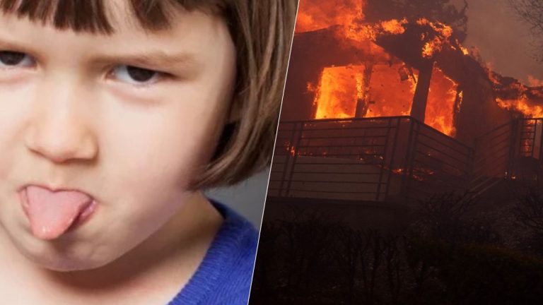 Incendie : à 10 ans, ils provoquent un incendie avec des mortiers d’artifice